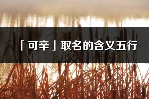 「可辛」取名的含义五行_可辛名字寓意解释