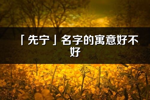 「先宁」名字的寓意好不好_先宁含义分析