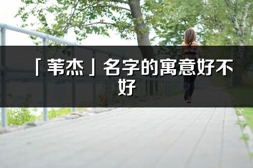 「苇杰」名字的寓意好不好_苇杰含义分析