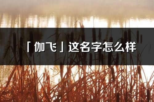 「伽飞」这名字怎么样_伽飞的名字解释