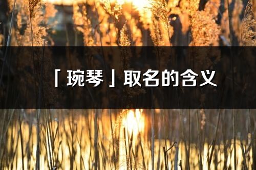 「琬琴」取名的含义_琬琴名字寓意解释