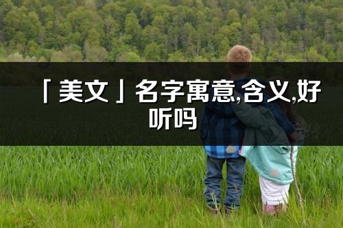 「美文」名字寓意,含义,好听吗_美文名字分析打分