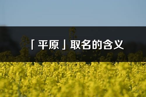 「平原」取名的含义_平原名字寓意解释