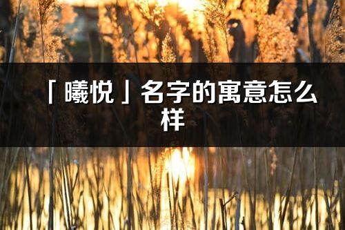 「曦悦」名字的寓意怎么样_曦悦的出处