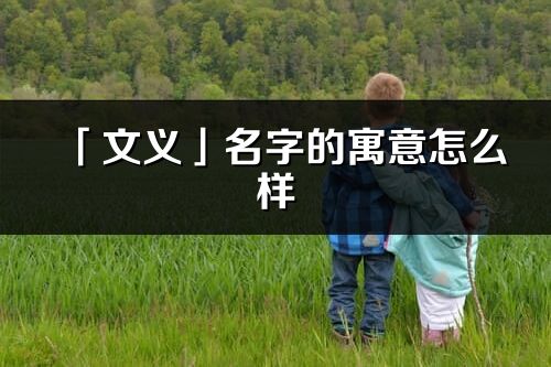 「文义」名字的寓意怎么样_文义的出处