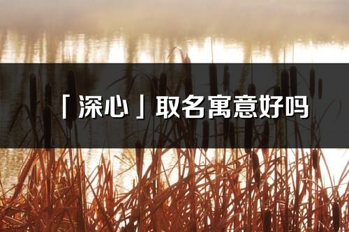 「深心」取名寓意好吗_深心名字含义及五行