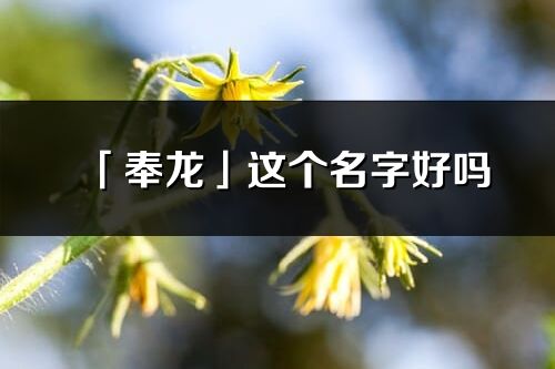 「奉龙」这个名字好吗_奉龙名字寓意,含义