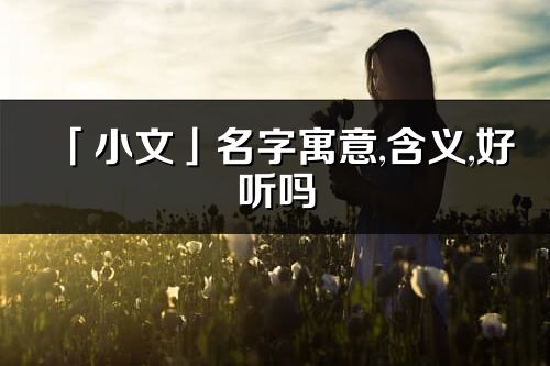 「小文」名字寓意,含义,好听吗_小文名字分析打分