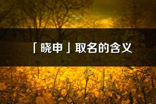 「晓申」取名的含义_晓申名字寓意