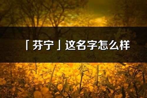 「芬宁」这名字怎么样_芬宁的名字解释