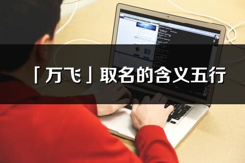 「万飞」取名的含义五行_万飞名字寓意解释