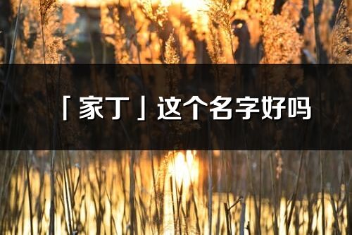 「家丁」这个名字好吗_家丁名字寓意,含义