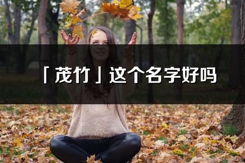 「茂竹」这个名字好吗_茂竹名字寓意,含义