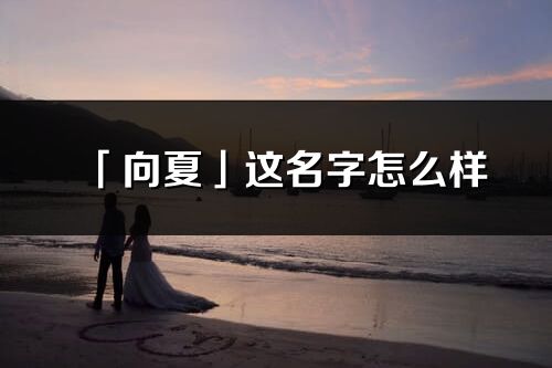 「向夏」这名字怎么样_向夏的名字解释