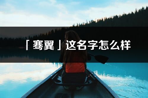 「骞翼」这名字怎么样_骞翼的名字解释