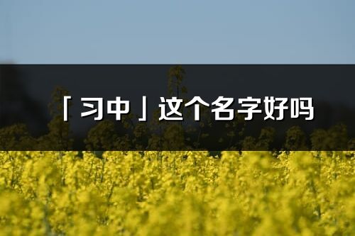 「习中」这个名字好吗_习中名字寓意,含义