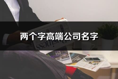 两个字高端公司名字