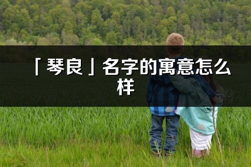 「琴良」名字的寓意怎么样_琴良的出处