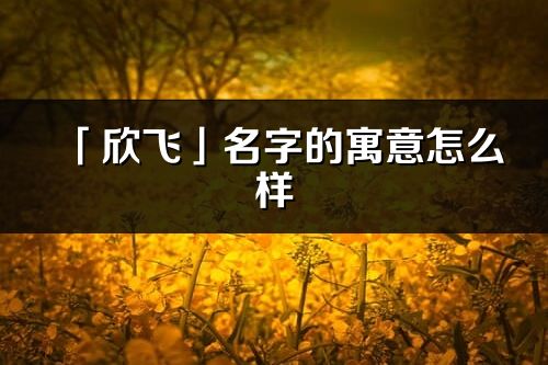 「欣飞」名字的寓意怎么样_欣飞的出处