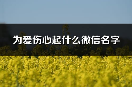 为爱伤心起什么微信名字(共393个)