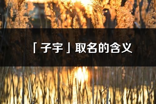 「子宇」取名的含义_子宇名字寓意解释