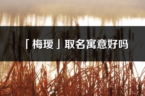 「梅瑷」取名寓意好吗_梅瑷名字含义及五行