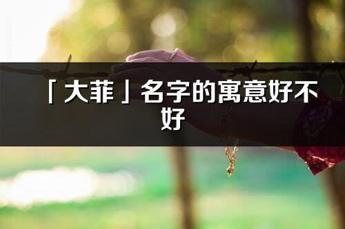 「大菲」名字的寓意好不好_大菲含义分析