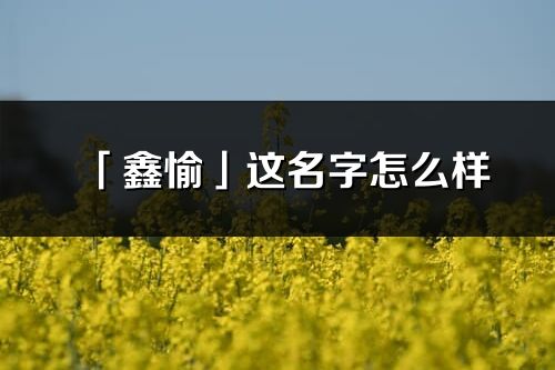 「鑫愉」这名字怎么样_鑫愉的名字解释