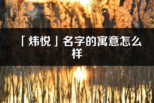 「炜悦」名字的寓意怎么样_炜悦的出处