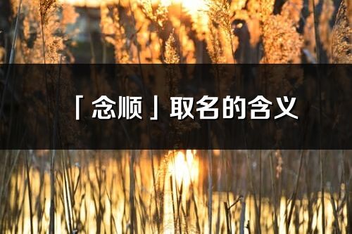 「念顺」取名的含义_念顺名字寓意解释