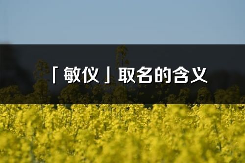 「敏仪」取名的含义_敏仪名字寓意