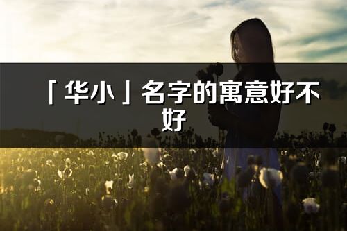 「华小」名字的寓意好不好_华小含义分析