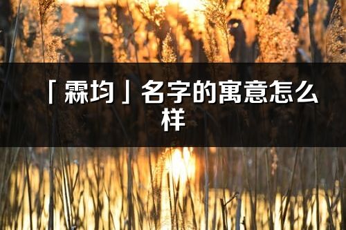 「霖均」名字的寓意怎么样_霖均的出处