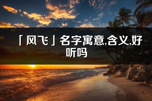 「风飞」名字寓意,含义,好听吗_风飞名字分析打分