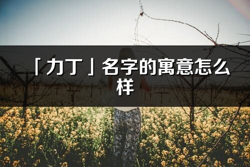 「力丁」名字的寓意怎么样_力丁的出处