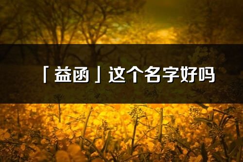 「益函」这个名字好吗_益函名字寓意,含义