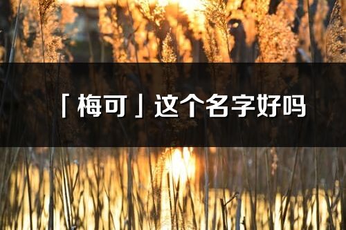 「梅可」这个名字好吗_梅可名字寓意,含义