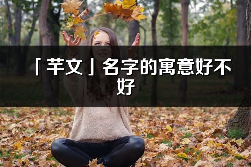 「芊文」名字的寓意好不好_芊文含义分析