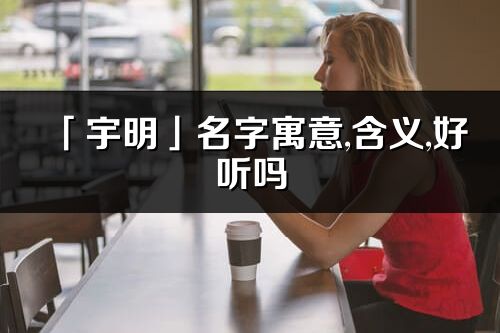 「宇明」名字寓意,含义,好听吗_宇明名字分析打分