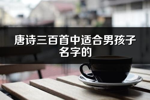 唐诗三百首中适合男孩子名字的