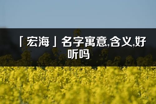 「宏海」名字寓意,含义,好听吗_宏海名字分析打分