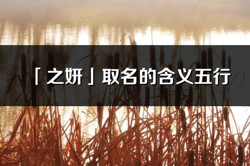 「之妍」取名的含义五行_之妍名字寓意解释