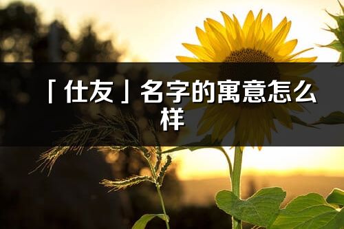 「仕友」名字的寓意怎么样_仕友的出处