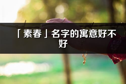 「素春」名字的寓意好不好_素春含义分析