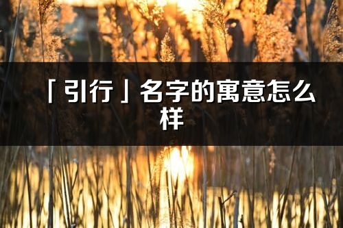 「引行」名字的寓意怎么样_引行的出处