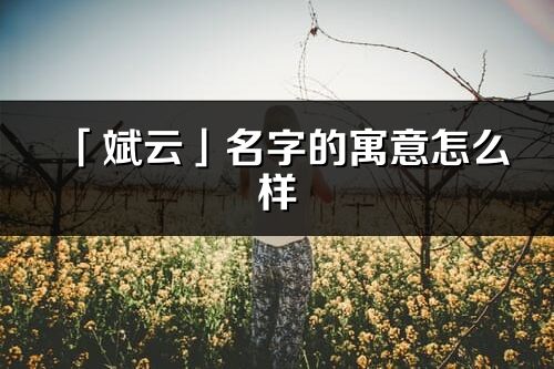 「斌云」名字的寓意怎么样_斌云的出处