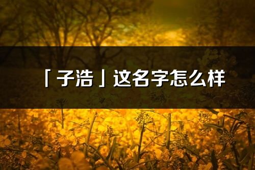 「子浩」这名字怎么样_子浩的名字解释