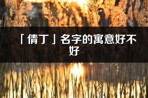 「倩丁」名字的寓意好不好_倩丁含义分析