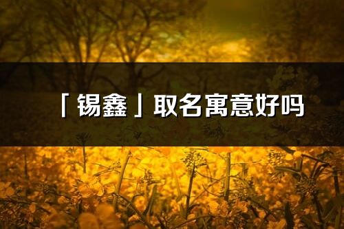 「锡鑫」取名寓意好吗_锡鑫名字含义及五行