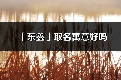 「东鑫」取名寓意好吗_东鑫名字含义及五行